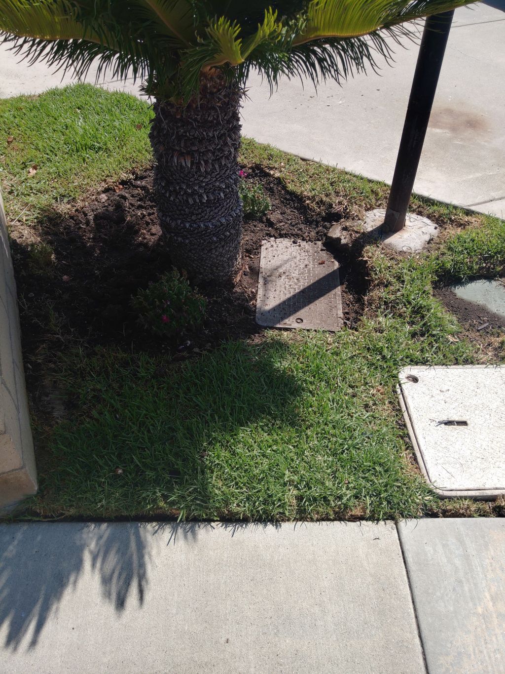 its dug up now